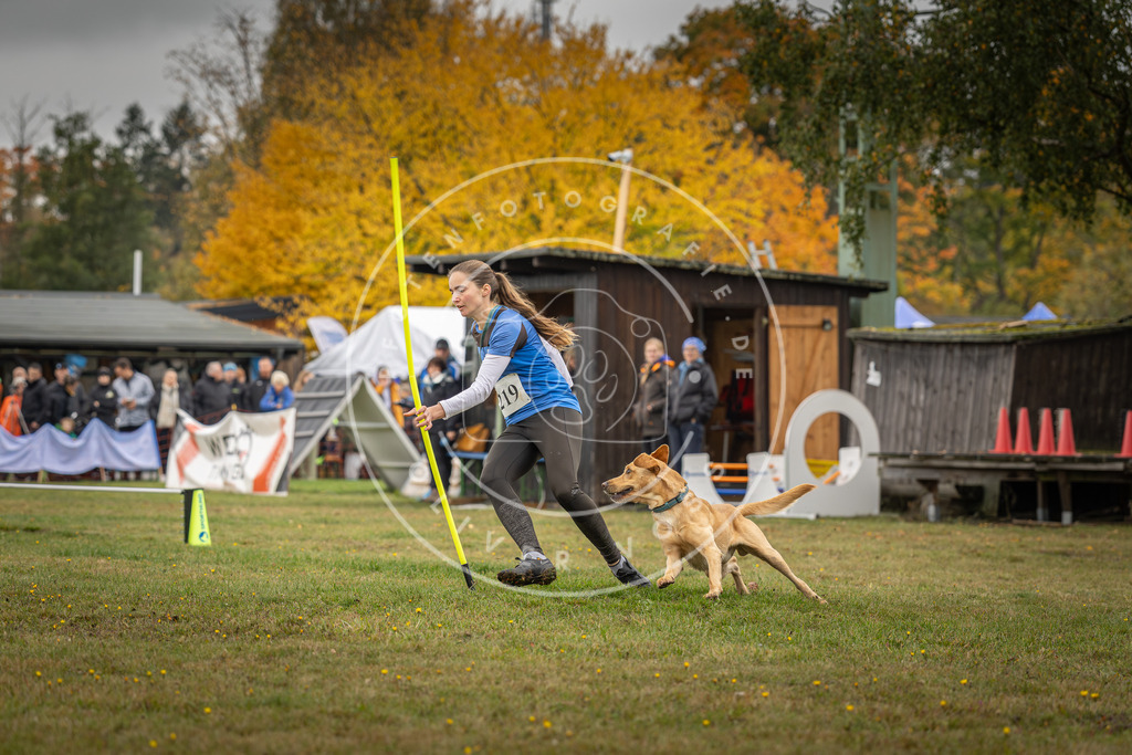 Pfotenfotografie_DV3A3027 | Hundefotografie, Tierfotograf, Pfotenfotografie, Fotoshooting Hund, Hunde Portrait, Hundesport, Hundeportraits, Heideshooting, Hunde, Sportfotograf, Hundefotograf, Turnierhundsport, THS,  - Realisiert mit Pictrs.com
