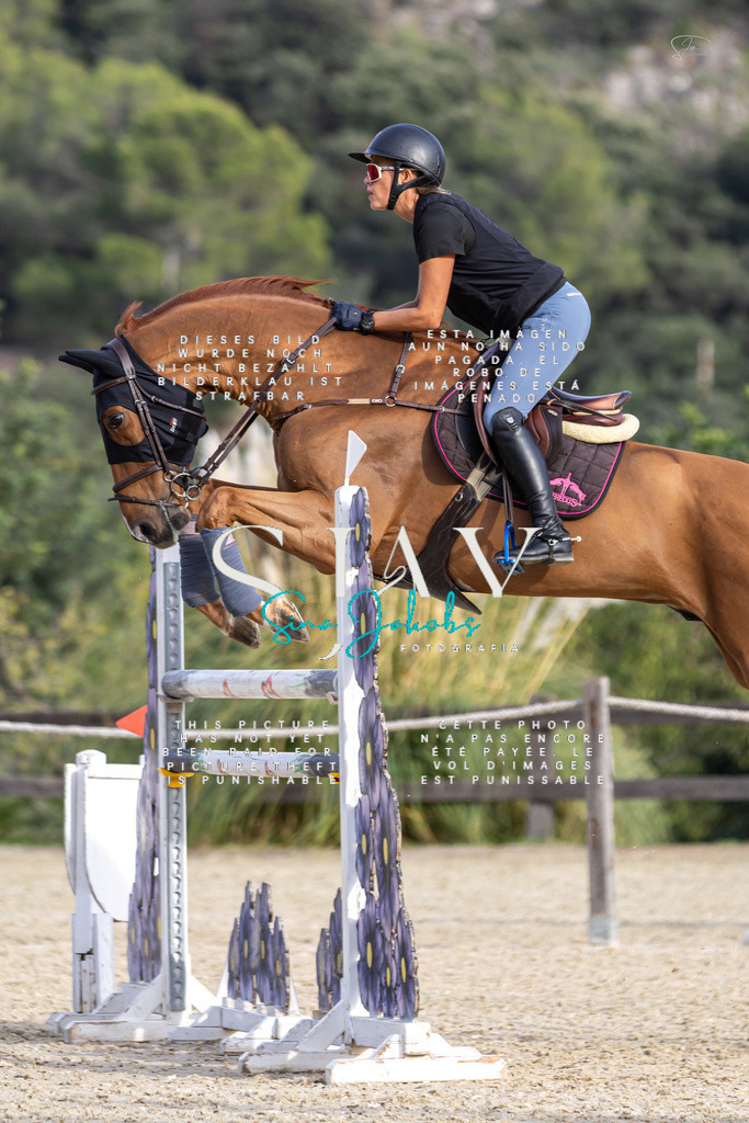 IMG_4485 | s-jay-photography - Realisiert mit Pictrs.com