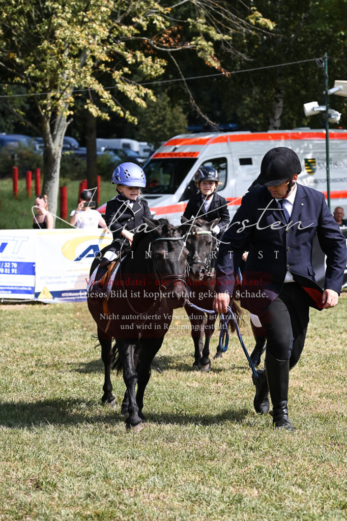 DSC_6865 | Pferde- und Turnierfotografie in Westsachsen. Pferdeportraits, Auftragszeichnungen und intuitive Kunst.