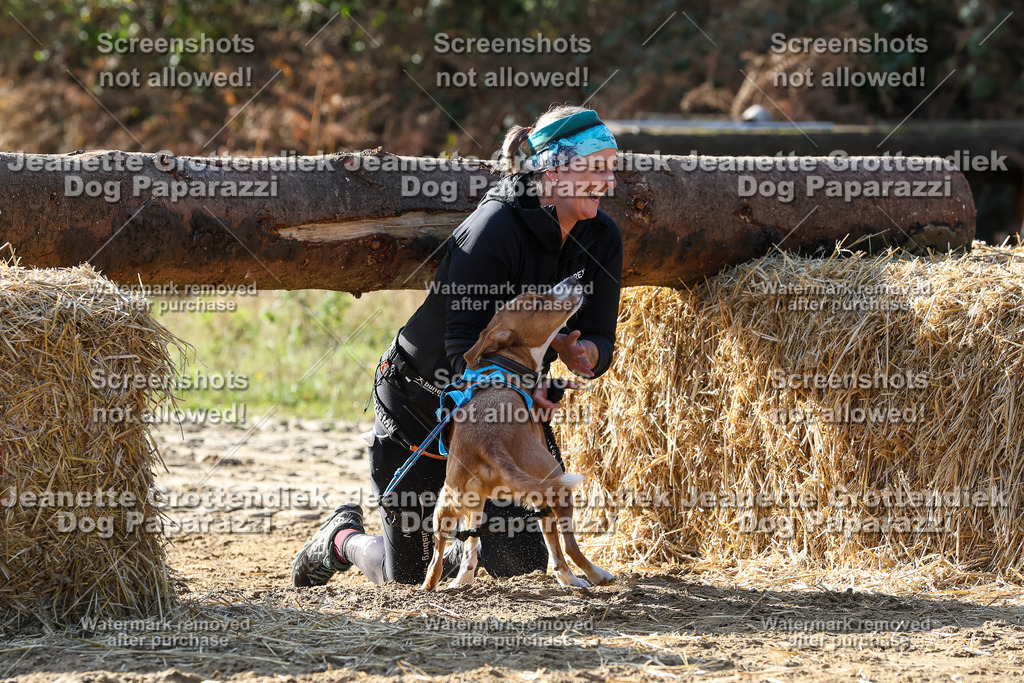 Dog Paparazzi - Strongdog 10-25-5971 | Dog Paparazzi Jeanette Grottendiek Fotografie & Videografie - Realisiert mit Pictrs.com