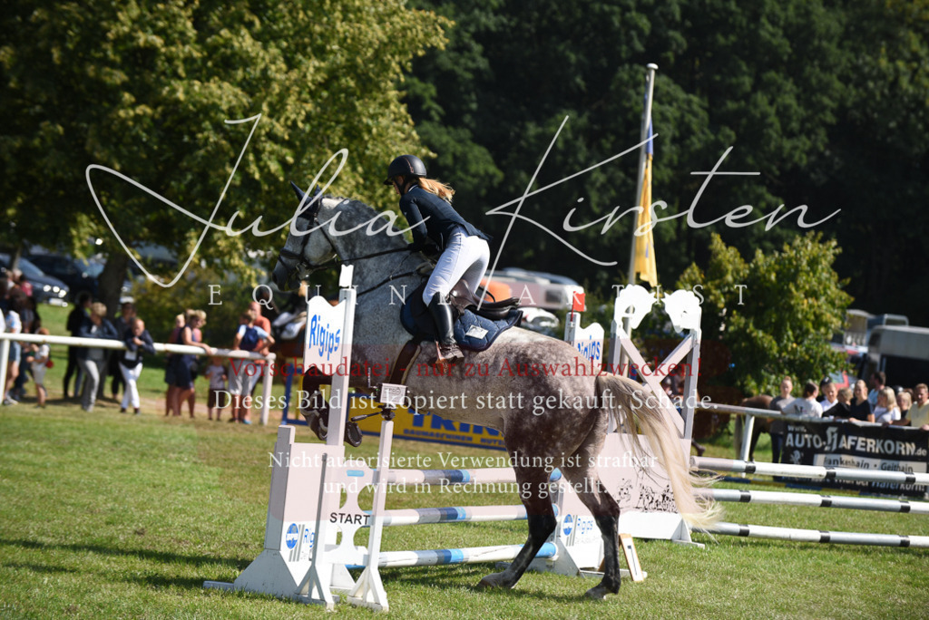 DSC_9140 | Pferde- und Turnierfotografie in Westsachsen. Pferdeportraits, Auftragszeichnungen und intuitive Kunst.