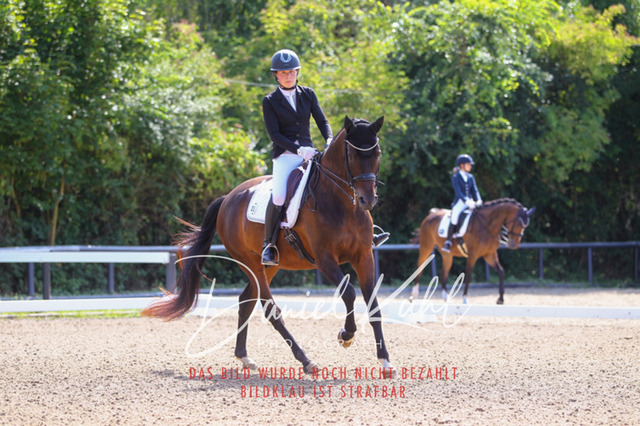 DKP41123 | Turniersportfotografie; Pferdefotografie; Dressurfotografie