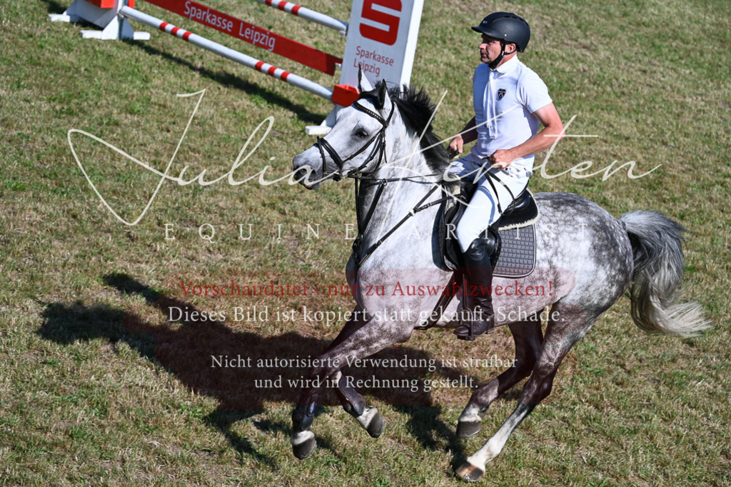DSC_2228 | Pferde- und Turnierfotografie in Westsachsen. Pferdeportraits, Auftragszeichnungen und intuitive Kunst.
