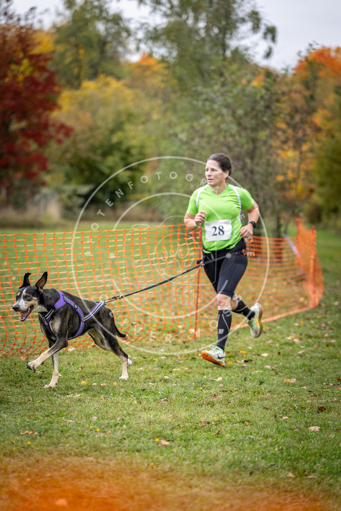 Pfotenfotografie_DV3A2072 | Hundefotografie, Tierfotograf, Pfotenfotografie, Fotoshooting Hund, Hunde Portrait, Hundesport, Hundeportraits, Heideshooting, Hunde, Sportfotograf, Hundefotograf, Turnierhundsport, THS,  - Realisiert mit Pictrs.com
