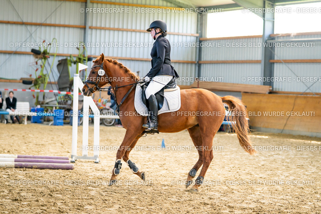 DSC01413 | Pferdegrafie