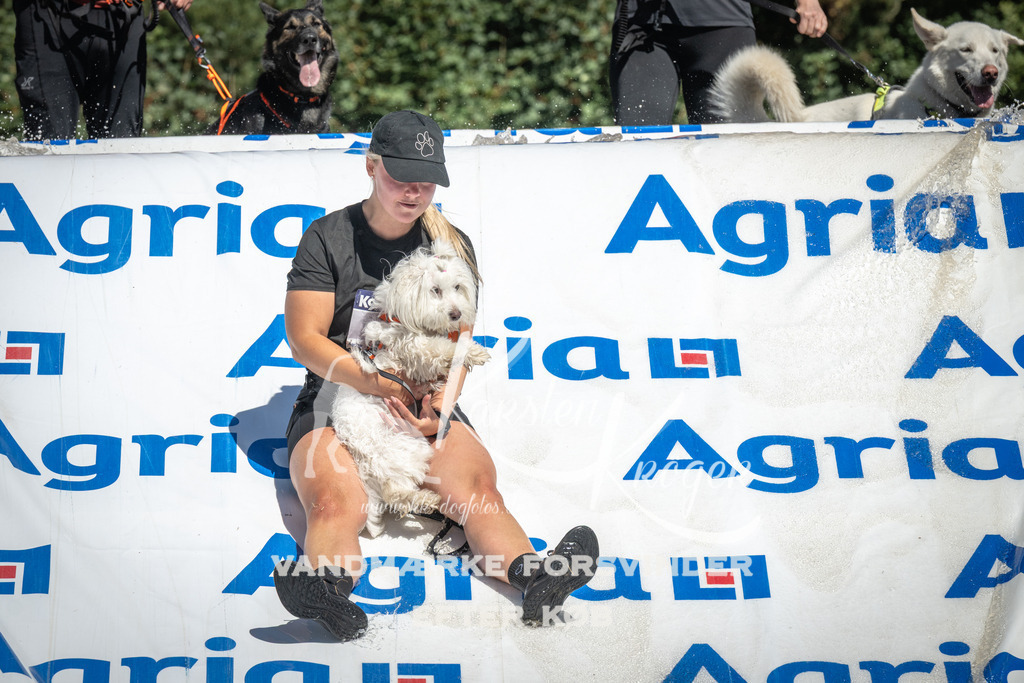 1343_ZZ91025 | kk-dogfotos