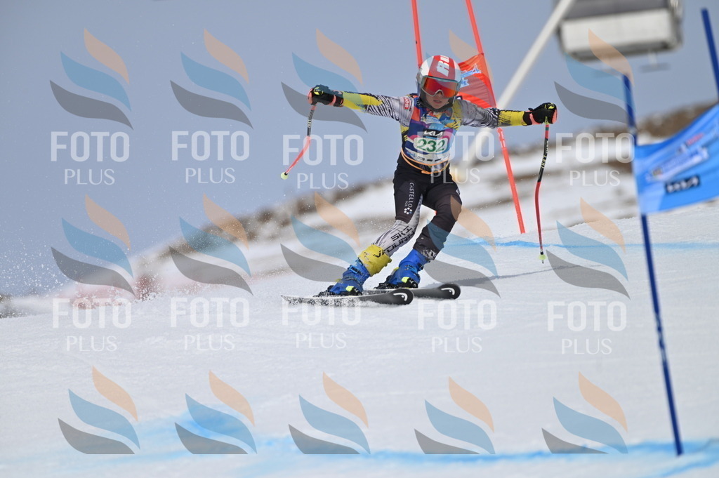 BGV_4594 | holidayphoto