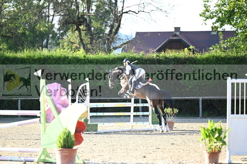 DSC_8926 | equestrian-live-com