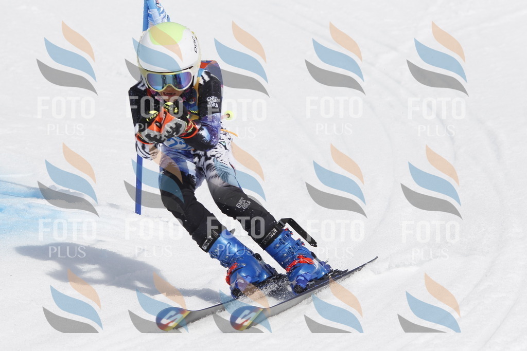 _U3G2376 | holidayphoto