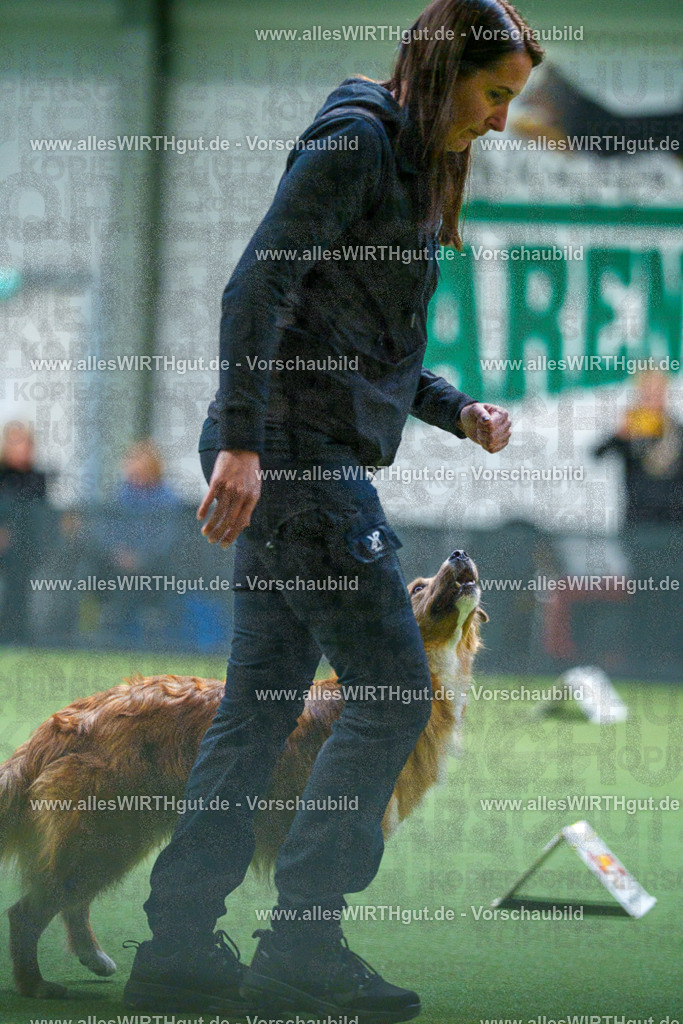 7R502961 | Professionelle Tierfotografie in Mönchengladbach von Daniel Wirth (allesWIRTHgut). Liebevolle & natürliche Bilder von Hunden & Katzen für unvergessliche Erinnerungen.