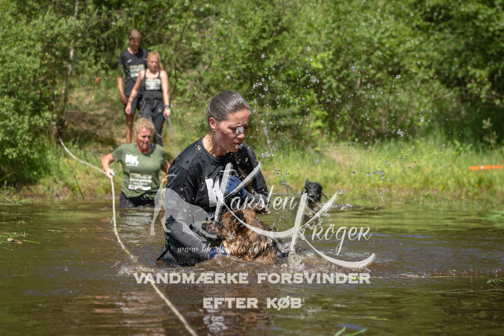 1209DKK991973 | kk-dogfotos