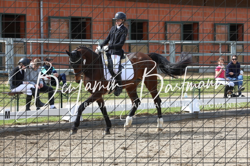 AZ2A3587 | Benjamin Bartmann Photomoments