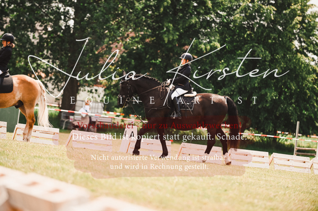 DSC_6328 | Pferde- und Turnierfotografie in Westsachsen. Pferdeportraits, Auftragszeichnungen und intuitive Kunst.