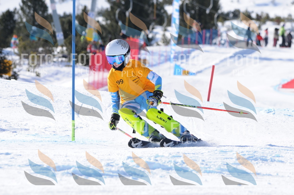 C7074 | holidayphoto