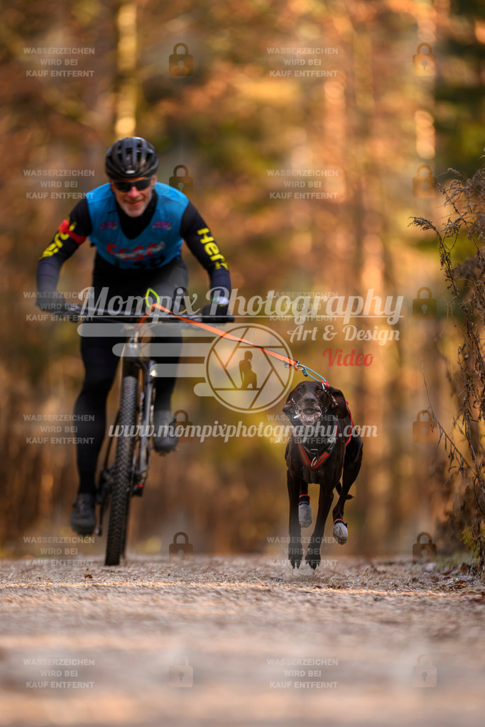 MompixPhotography_DM_AKDM_SO_2025_Bike-31 | PayLife