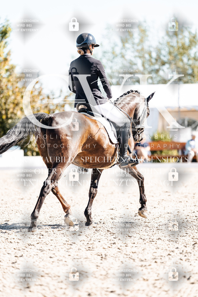 CK909062 | Turnierfotografie Pferdefotografie Trier Rheinland-Pfalz Pferdesport Reitsport Tierfotografie Sportfotografie Pferdevideo Pferdevideografie Equestrianvideography equestrianphotography  - Realisiert mit Pictrs.com