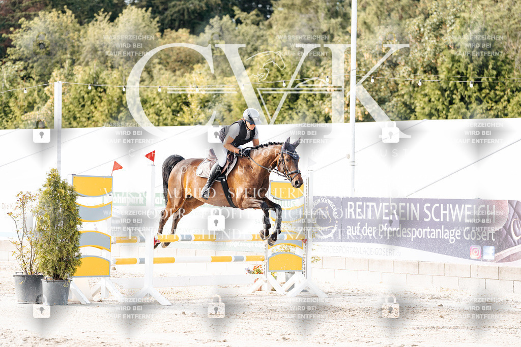 CK906296 | Turnierfotografie Pferdefotografie Trier Rheinland-Pfalz Pferdesport Reitsport Tierfotografie Sportfotografie Pferdevideo Pferdevideografie Equestrianvideography equestrianphotography  - Realisiert mit Pictrs.com