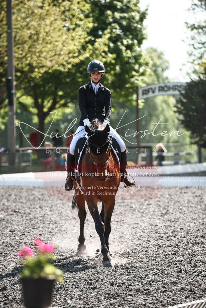 DSC_8925 | Pferde- und Turnierfotografie in Westsachsen. Pferdeportraits, Auftragszeichnungen und intuitive Kunst.