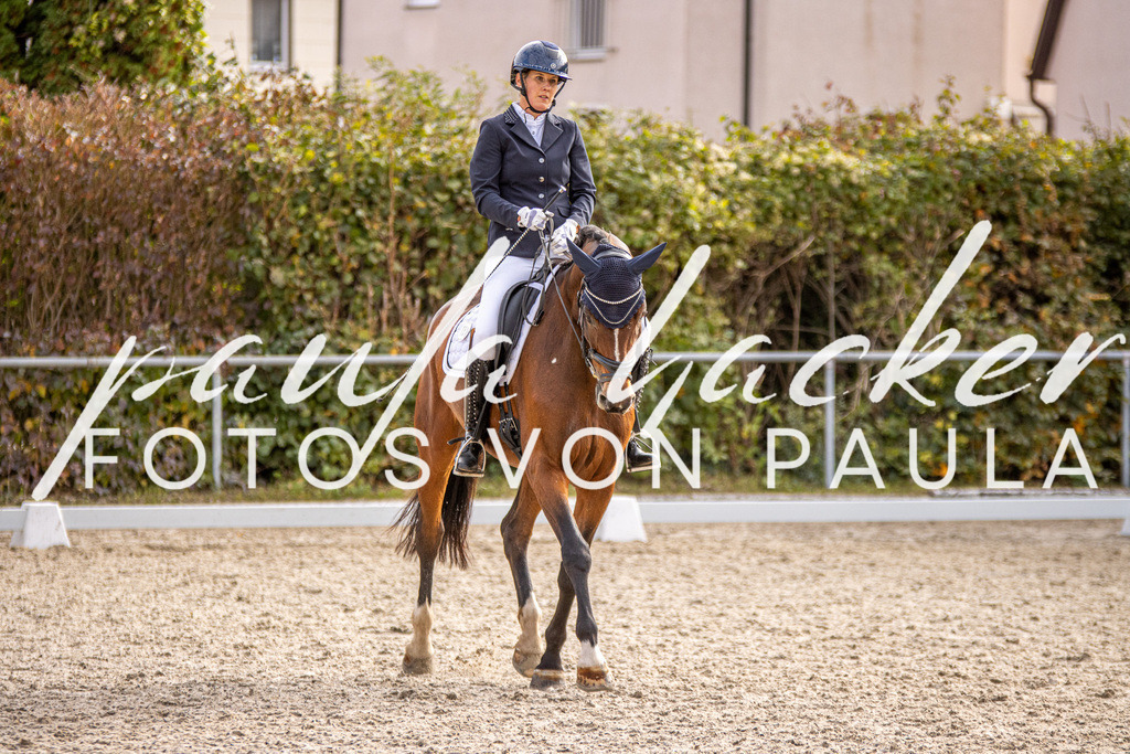IMG_3210 | Erleben Sie dynamische Sport- und emotionale Tierfotografie in Süddeutschland mit Fotos von Paula. Spezialisiert auf Pferde- und Hundefotografie sowie Sportevents. Kontaktieren Sie mich für einzigartige und ausdrucksstarke Bilder Ihrer besonderen Momente. - Realisiert mit Pictrs.com