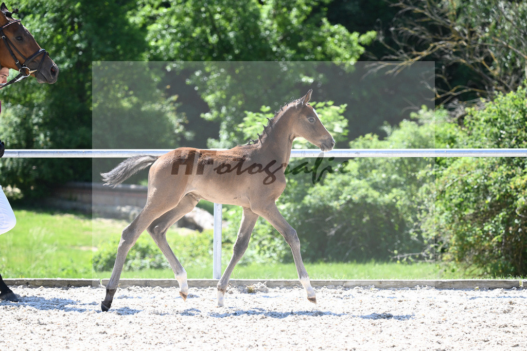 Kat-Nr. 26 HF Vingino_Ruhland_16230350 | hf-fotografie - Realisiert mit Pictrs.com