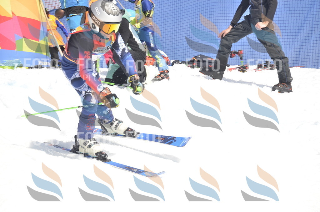 _ELE9219 | holidayphoto