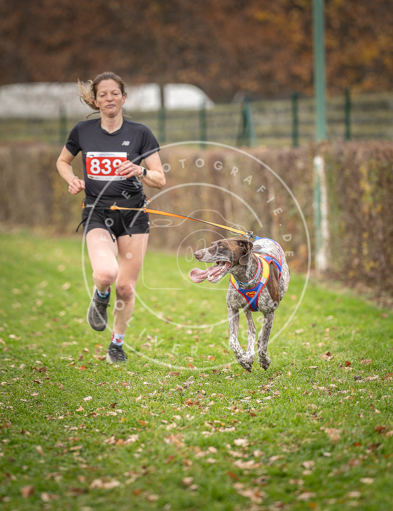 CaniXpix_DV3A6297 | Hundefotografie, Tierfotograf, Pfotenfotografie, Fotoshooting Hund, Hunde Portrait, Hundesport, Hundeportraits, Heideshooting, Hunde, Sportfotograf, Hundefotograf, Turnierhundsport, THS,  - Realisiert mit Pictrs.com