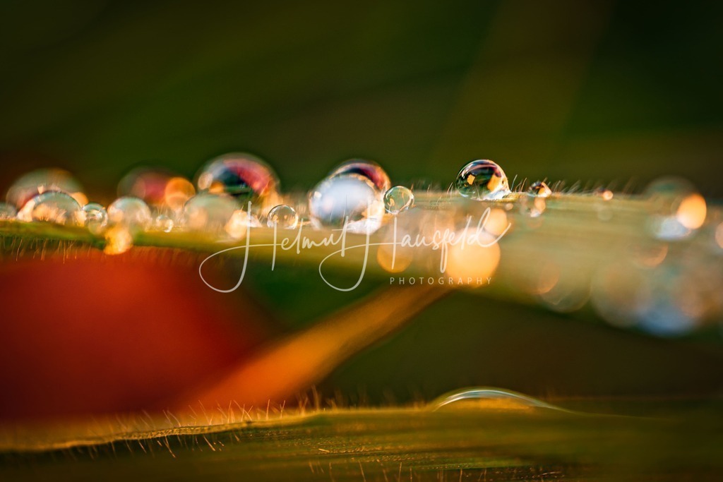 DSC04088 | Landschaftsfotografie, Naturfotografie - Realisiert mit Pictrs.com
