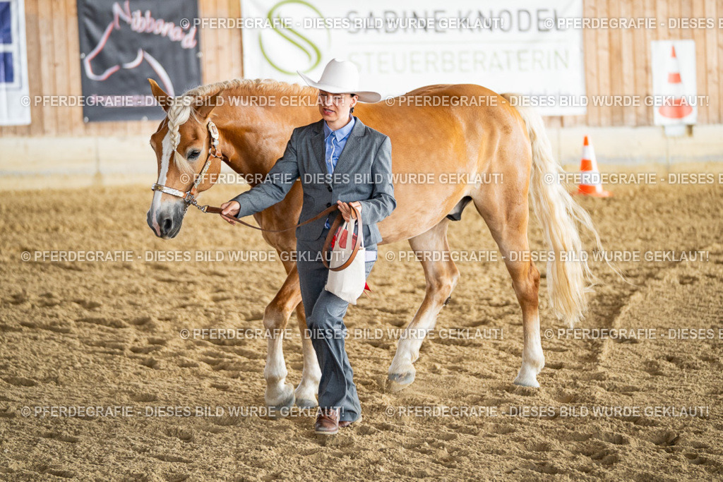 DSC07661 | Pferdegrafie