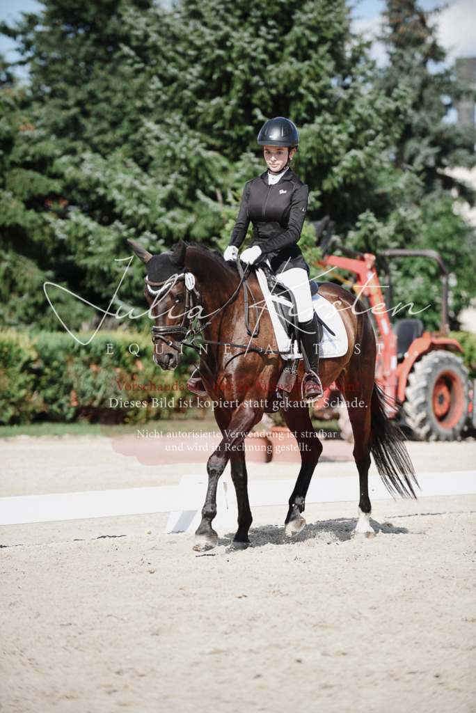 DSC_9918 | Pferde- und Turnierfotografie in Westsachsen. Pferdeportraits, Auftragszeichnungen und intuitive Kunst.