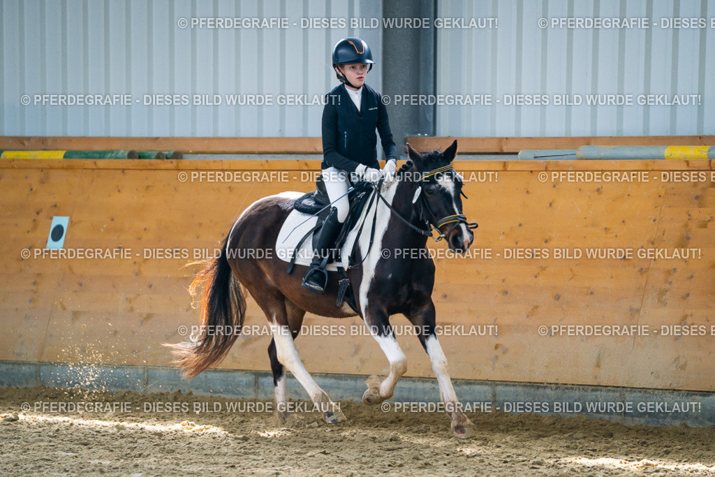 DSC01953 | Pferdegrafie