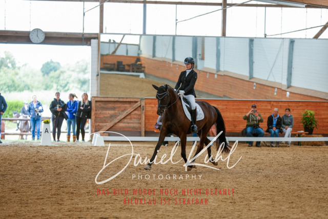 _62_5975 | Turniersportfotografie; Pferdefotografie; Dressurfotografie