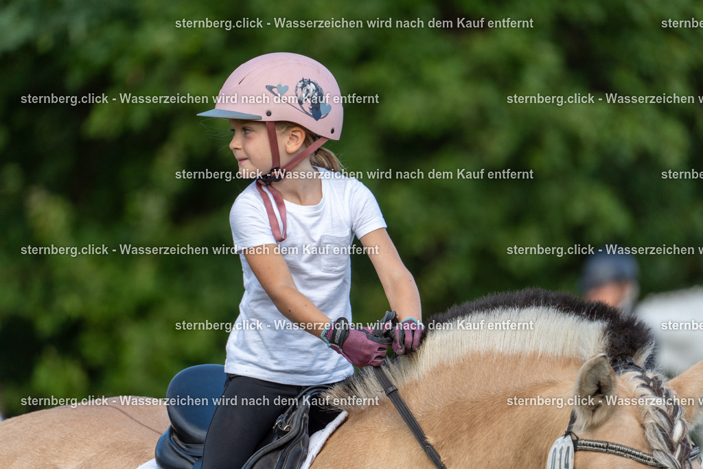 2026-08-29_09-53-59_sternberg.click_WBO-Diera | sternberg.click - Realisiert mit Pictrs.com