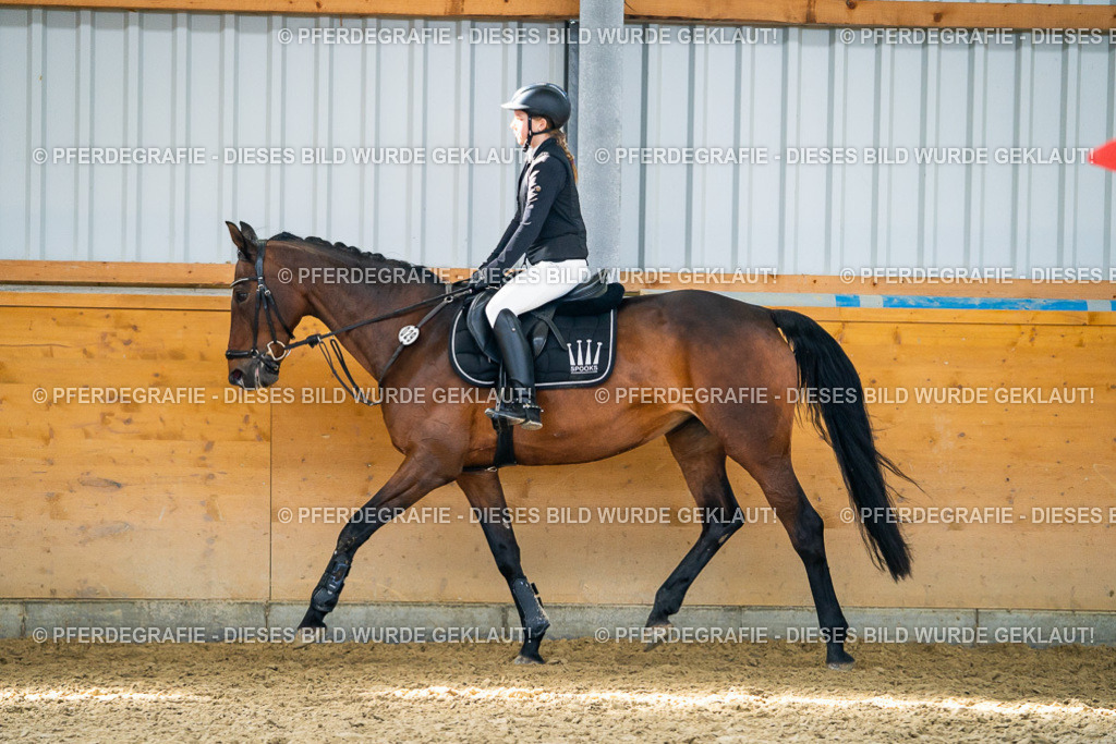 DSC01769 | Pferdegrafie