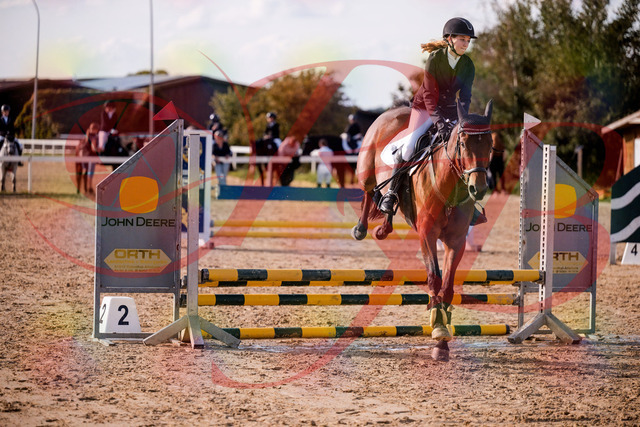 2026_10_03_Siefer-Hof_161021_Z81_89813047 | Professionelle Reitsport-, Turnier- und Eventfotografie von Robert Broda. Galerien mit ausgewählten und bearbeiteten Bildern direkt online ansehen und bestellen.