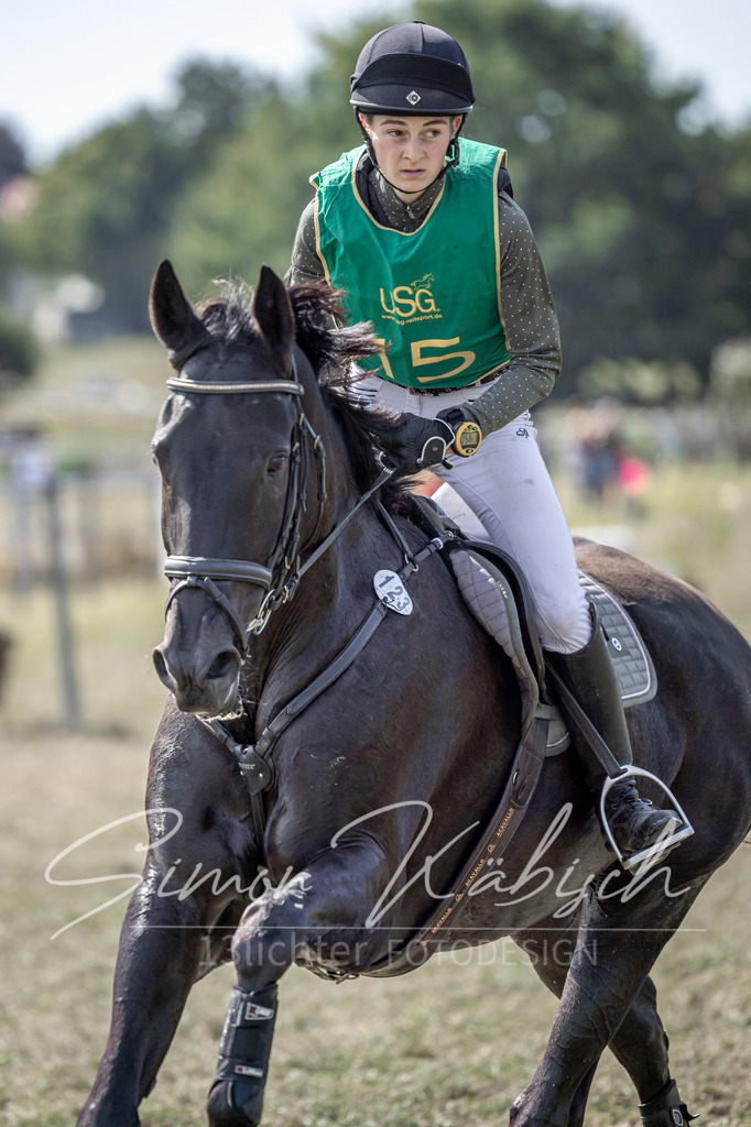 20250907-_3LI1654 | Tierfotografie Pferde, Hunde, Katzen, Haustiere.
Turnierfotografie Reitturniere, Reiten, Springreiten, Dressur in Hanau, dem Main-Kinzig-Kreis und dem Rhein-Main- Gebiet um Frankfurt