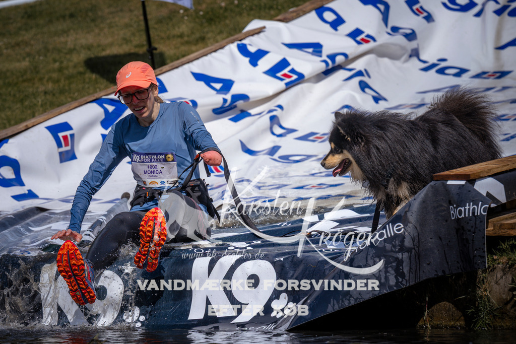 _ZZ934050938 | kk-dogfotos