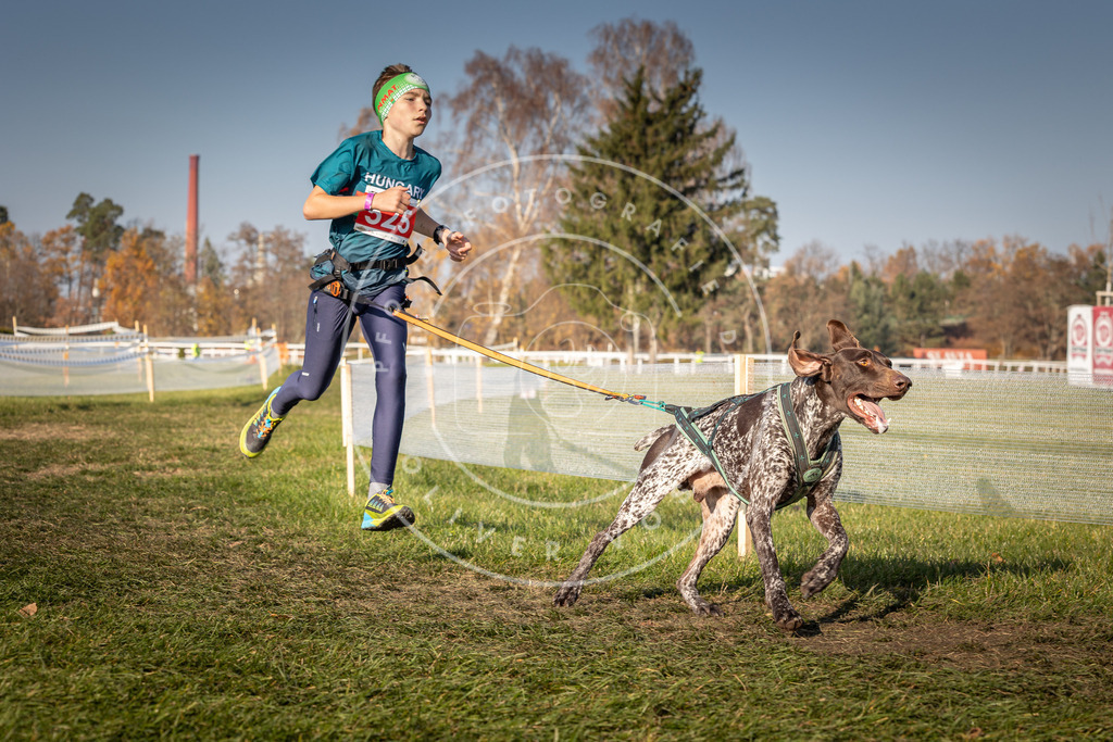 CaniXpix_0L8A8832 | Hundefotografie, Tierfotograf, Pfotenfotografie, Fotoshooting Hund, Hunde Portrait, Hundesport, Hundeportraits, Heideshooting, Hunde, Sportfotograf, Hundefotograf, Turnierhundsport, THS,  - Realisiert mit Pictrs.com