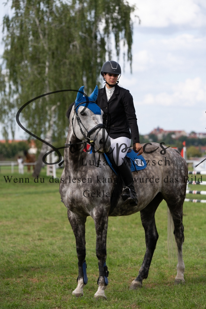 A7V04933 | Turnier/Reitfotograf
