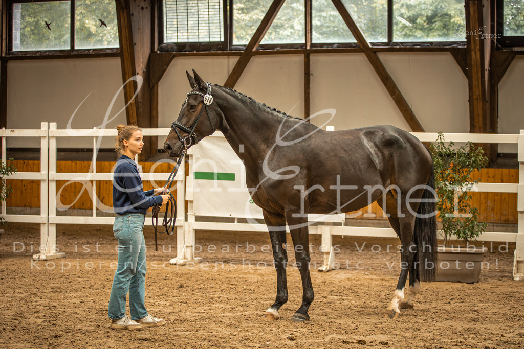 2FS_L00060 | Leoni Ertmer Photography - Realisiert mit Pictrs.com