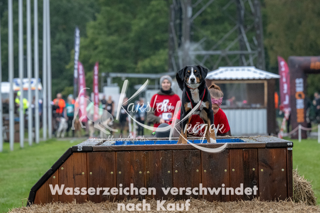 1112-93855 | kk-dogfotos