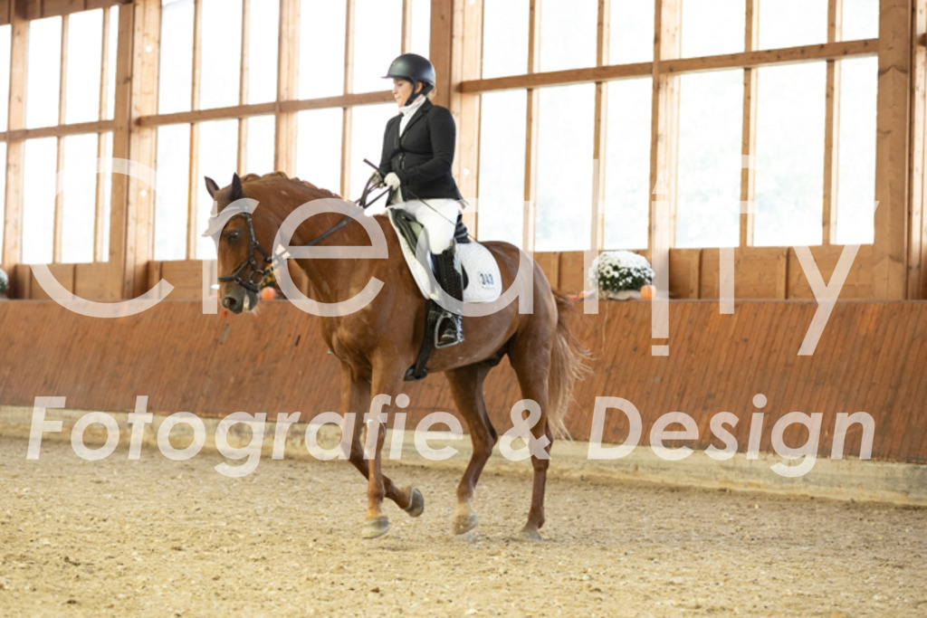 IMG_5805 | Creatify Fotografie