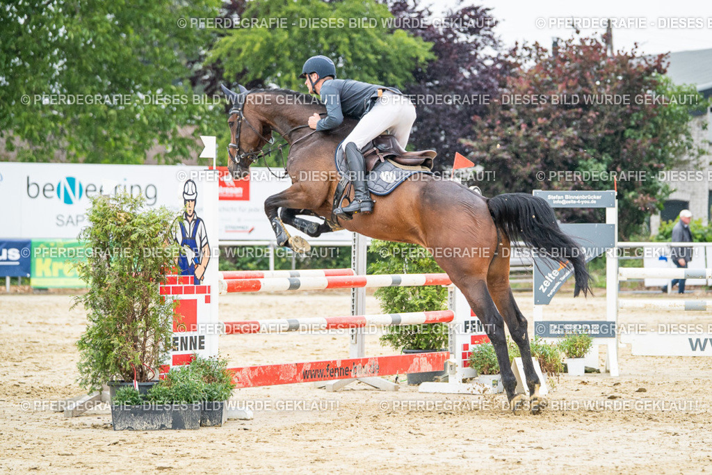 DSC00551 | Pferdegrafie