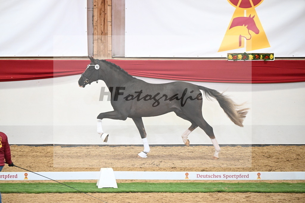 Kat.-Nr. 45 v. Bonds_Schafhof_2250055 | hf-fotografie - Realisiert mit Pictrs.com