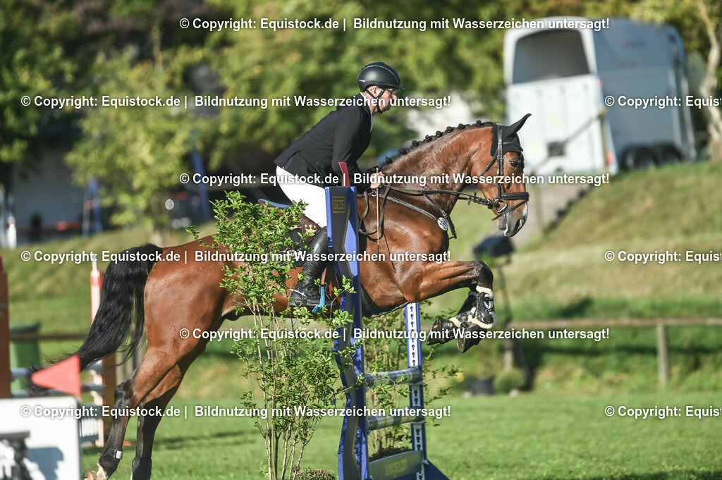 20230908_14-15_Springpferde-A_0032 | equistock