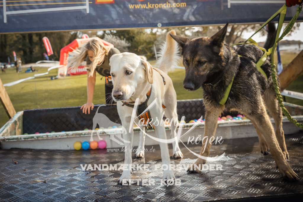 1309_ZZ99441-2 | kk-dogfotos