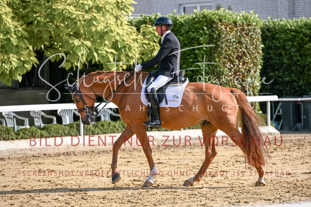 Schugtsche-Aluta25-52.Dressurprf.M2Kand-238 | Schugtsche Fotografie - Realisiert mit Pictrs.com