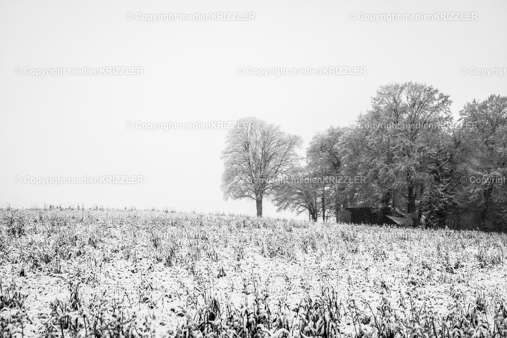 _J3A9474 | medienkrizzler - Realisiert mit Pictrs.com