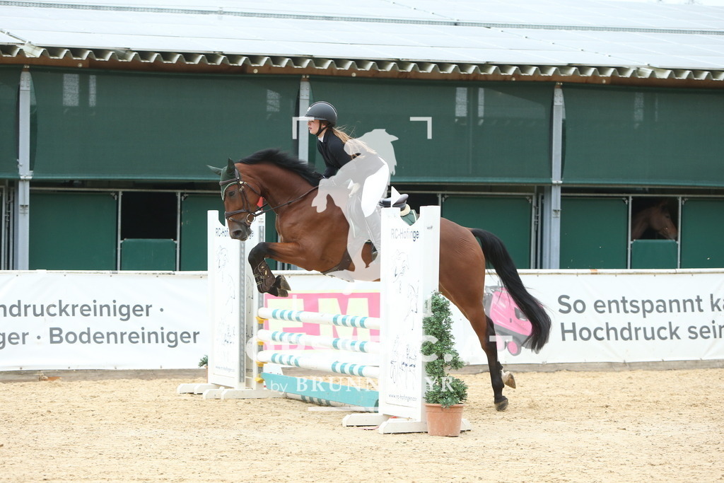 DL2Q5314 | Willkommen bei Brunnmayr - Design & Fotografie – Ihrem Spezialisten für Reitturniere und Pferdeveranstaltungen in Oberösterreich, Salzburg und Bayern! Seit über 17 Jahren sind wir leidenschaftlich dabei.