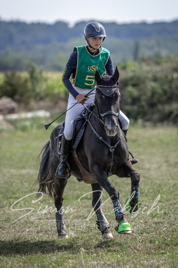 20250907-_3LI0807 | Tierfotografie Pferde, Hunde, Katzen, Haustiere.
Turnierfotografie Reitturniere, Reiten, Springreiten, Dressur in Hanau, dem Main-Kinzig-Kreis und dem Rhein-Main- Gebiet um Frankfurt