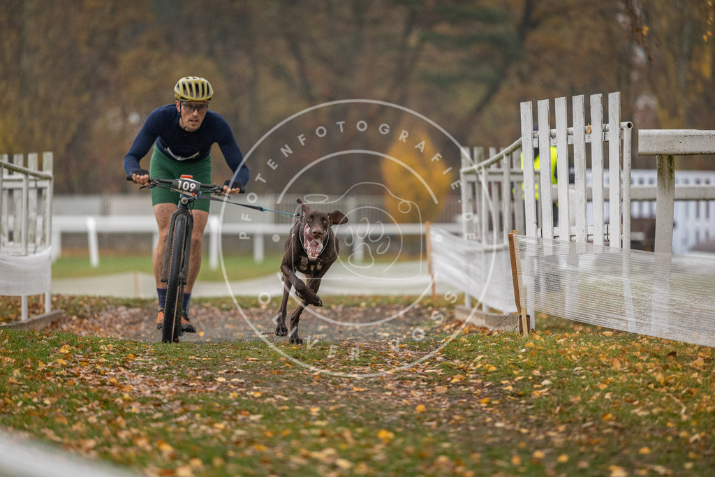 CaniXpix_DV3A7441 | Hundefotografie, Tierfotograf, Pfotenfotografie, Fotoshooting Hund, Hunde Portrait, Hundesport, Hundeportraits, Heideshooting, Hunde, Sportfotograf, Hundefotograf, Turnierhundsport, THS,  - Realisiert mit Pictrs.com